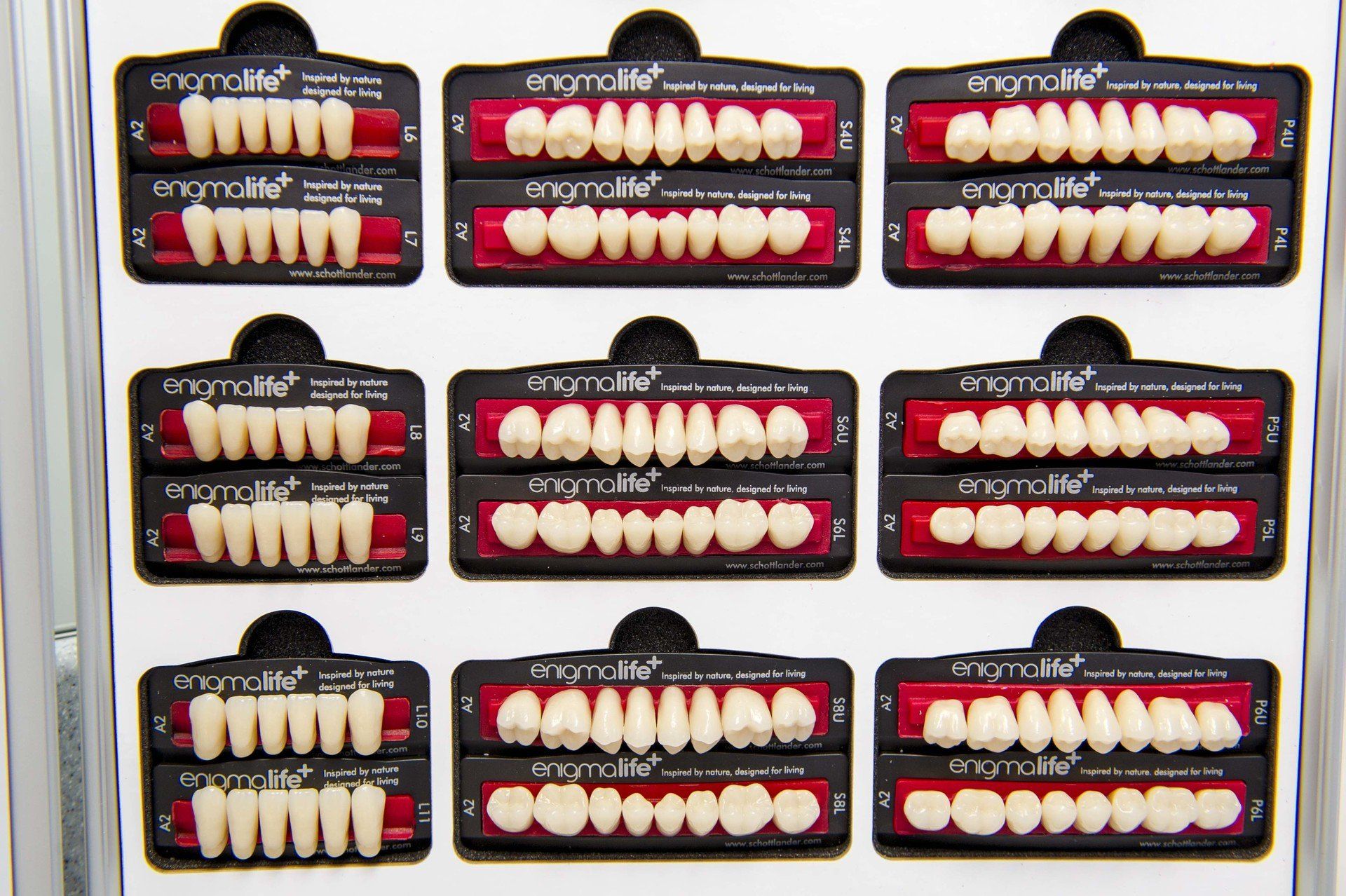 catalogue of dentures