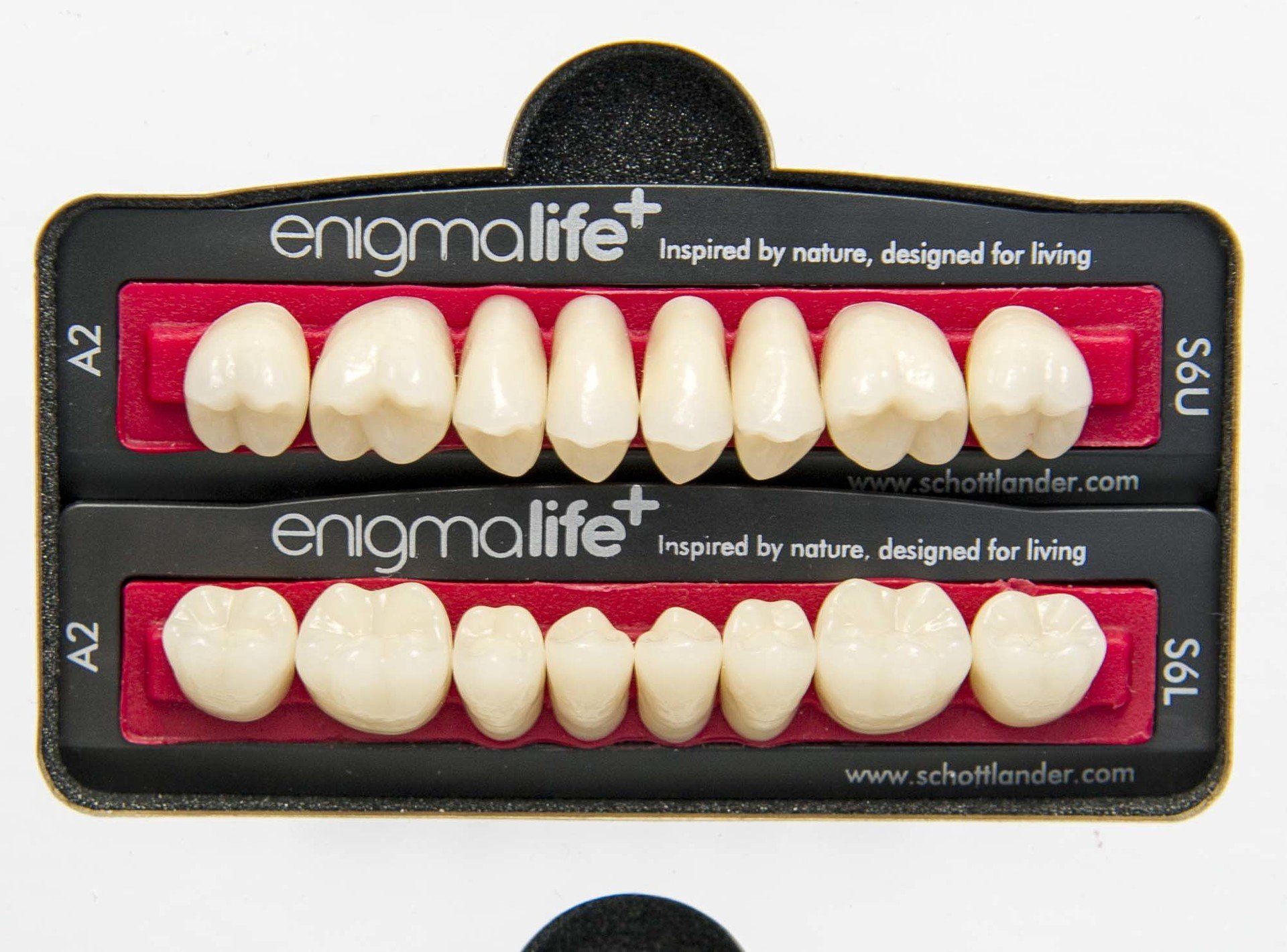 denture designs