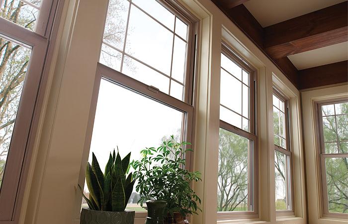 windows