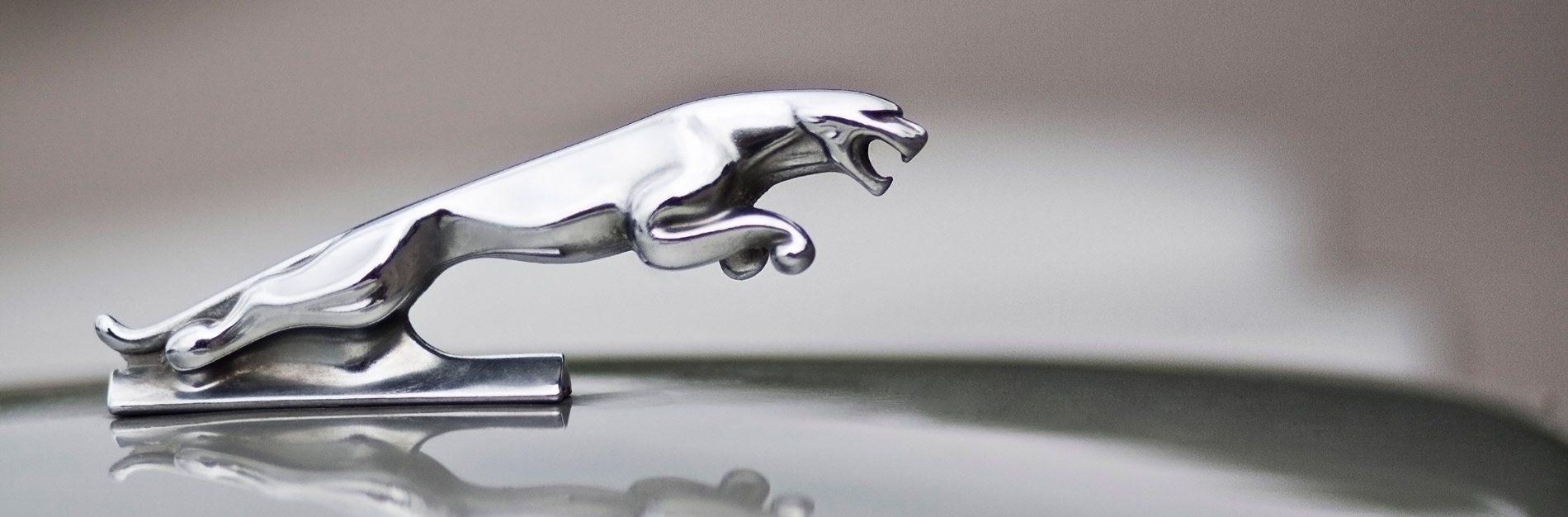 Silver Jaguar hood ornament of a leaping cat.