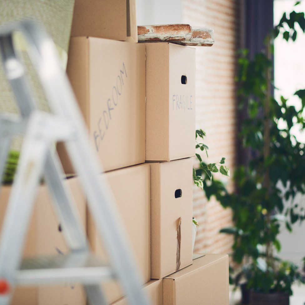 Boxes stacked for moving; stepladder and plant visible.