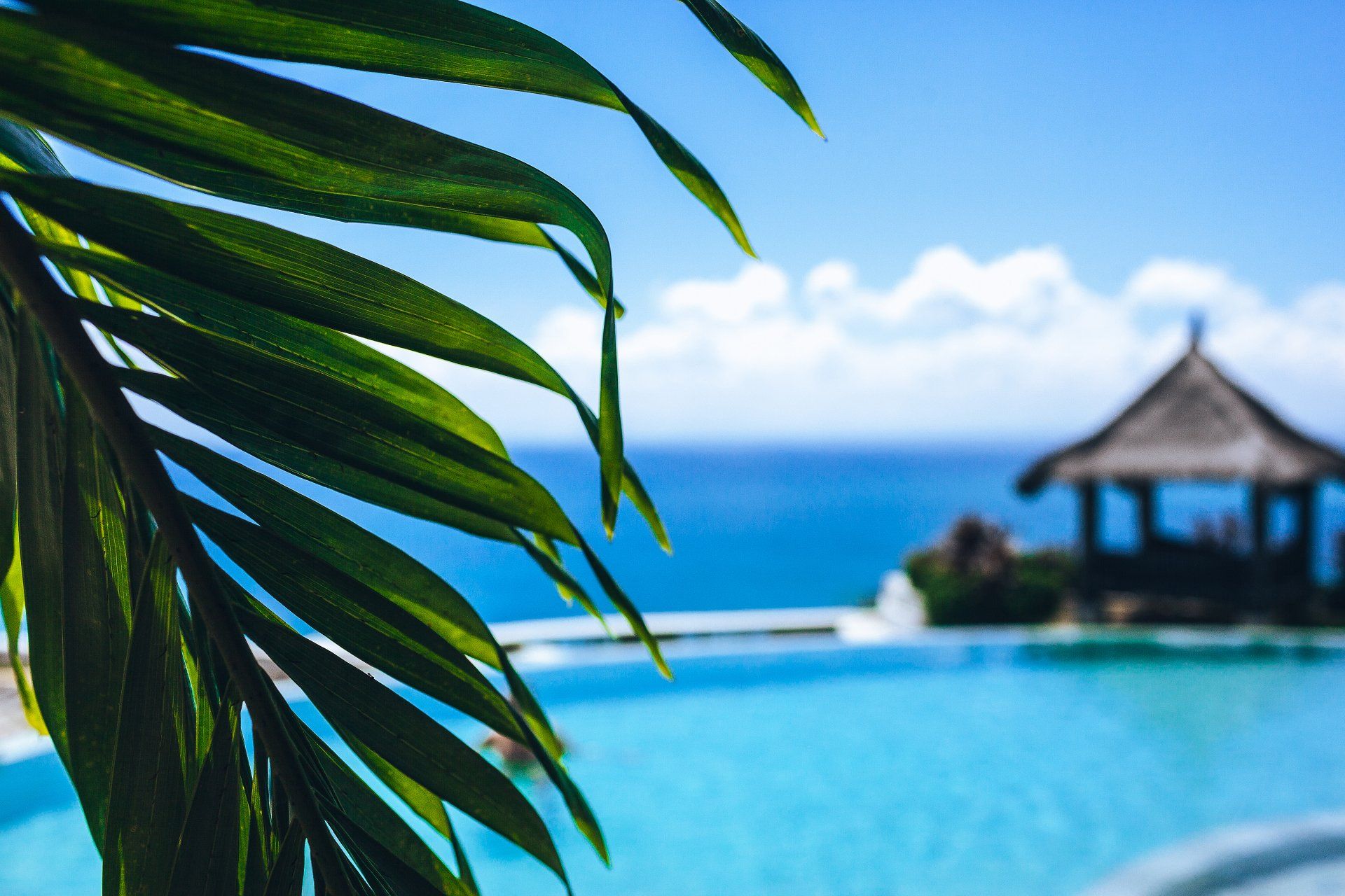 Palm leaves frame a blue infinity pool, ocean, and gazebo under a sunny sky.