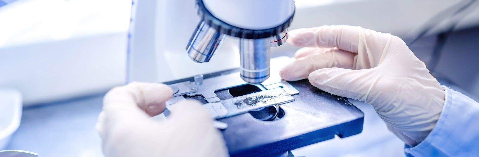 A person wearing gloves is using a microscope.