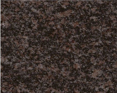 Indian Mahogany