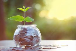 Investment management 