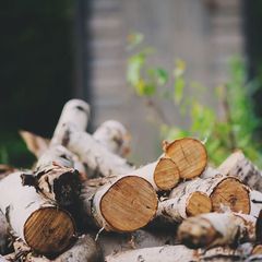 Forestry