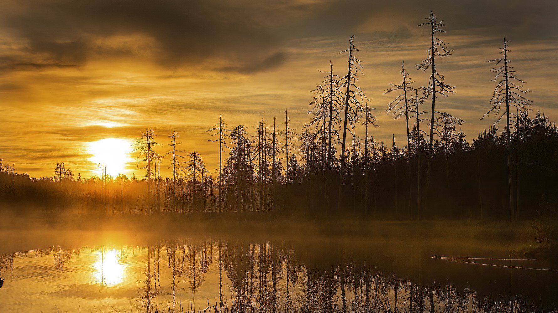 Finland