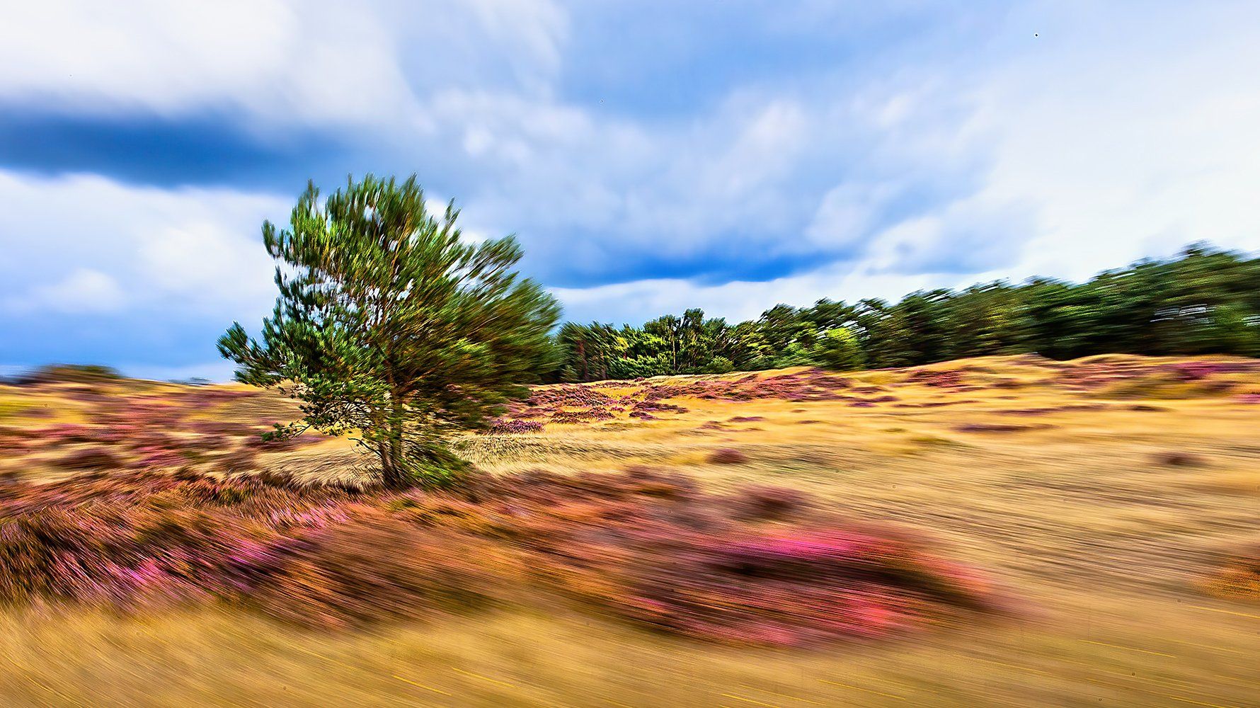 Heide
