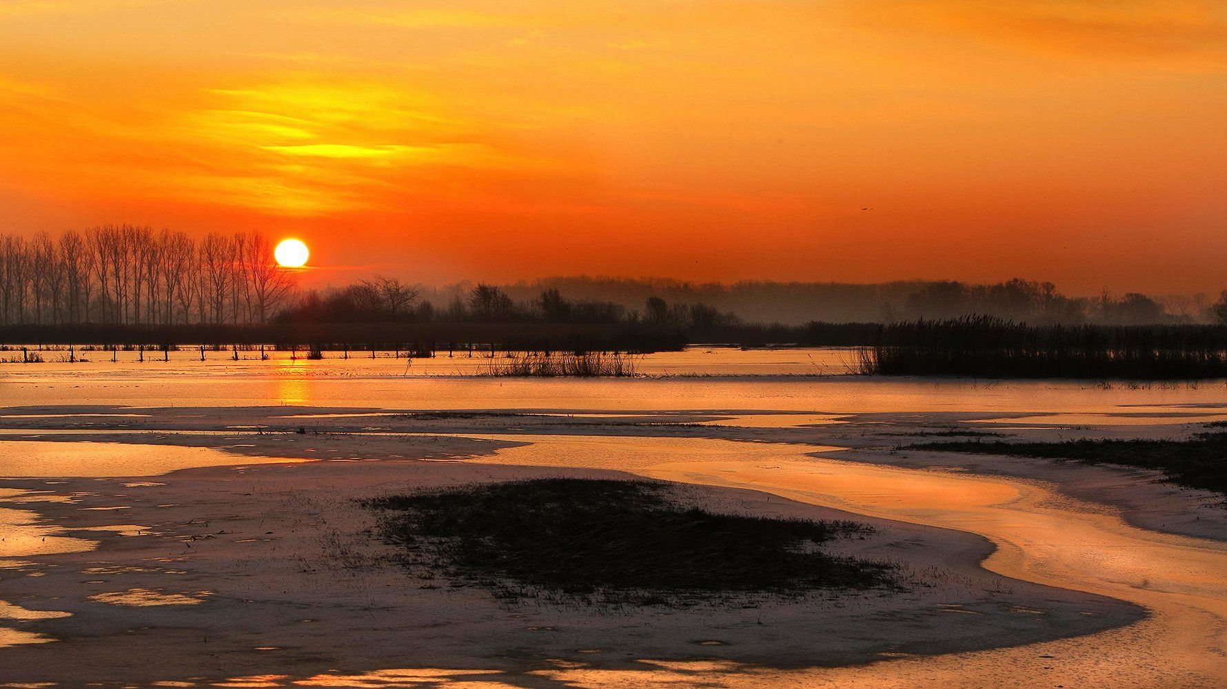Polders Blankaart