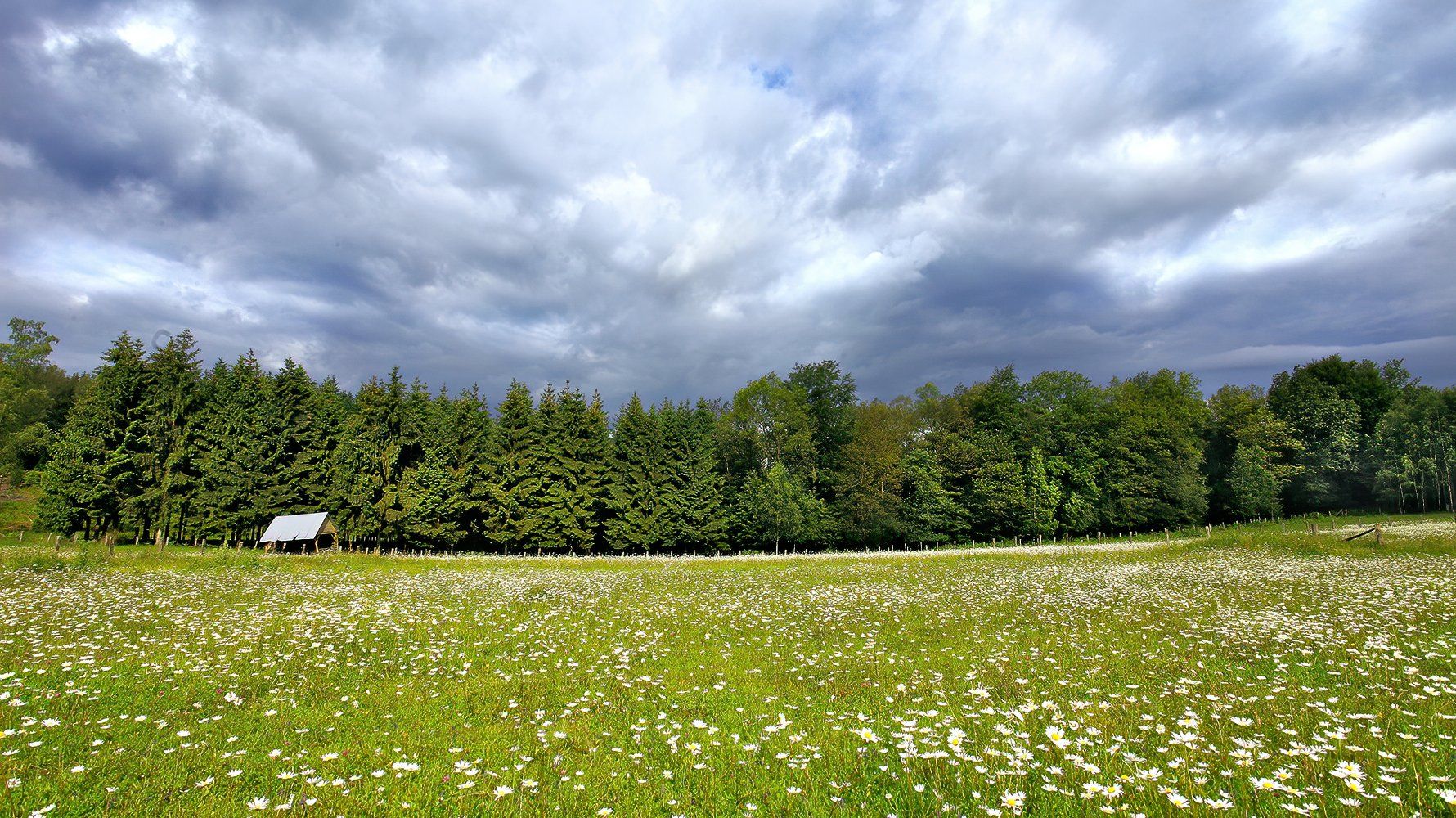 Ardennen