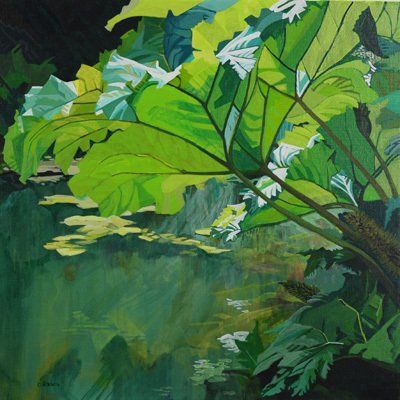 Gunnera