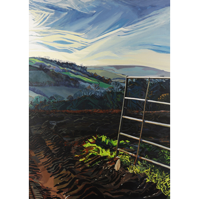 Ploughed Field