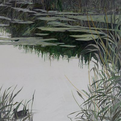 Reed Bed
