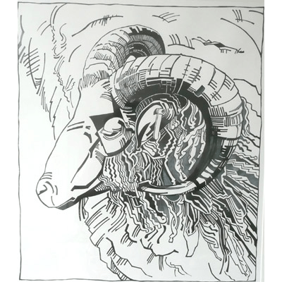 Wool