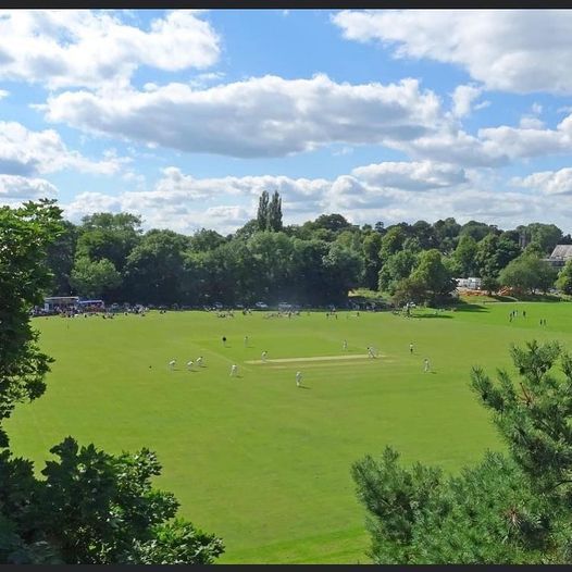 A large grassy field with trees in the background