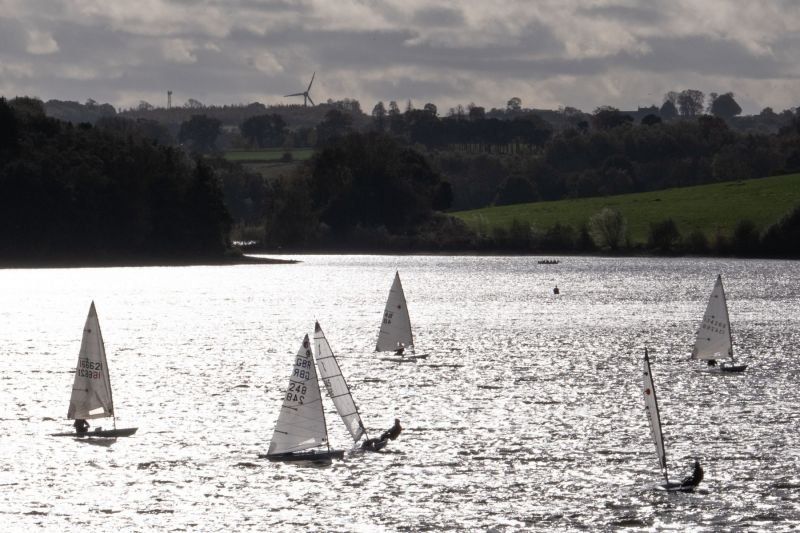 A group of sailboats are floating on a body of water