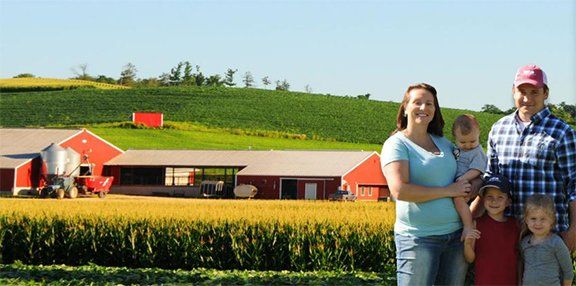 Town and country farm
