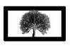 A black and white photo of a tree in a frame.