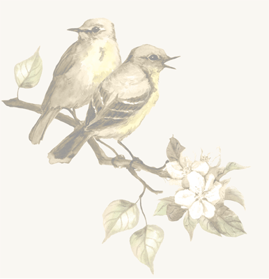 George's Antiques - Vintage birds