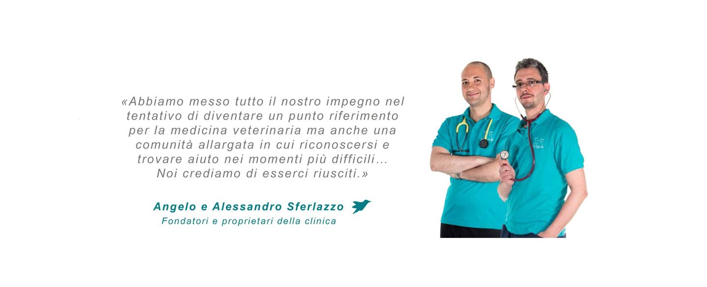 slideshow con citazione