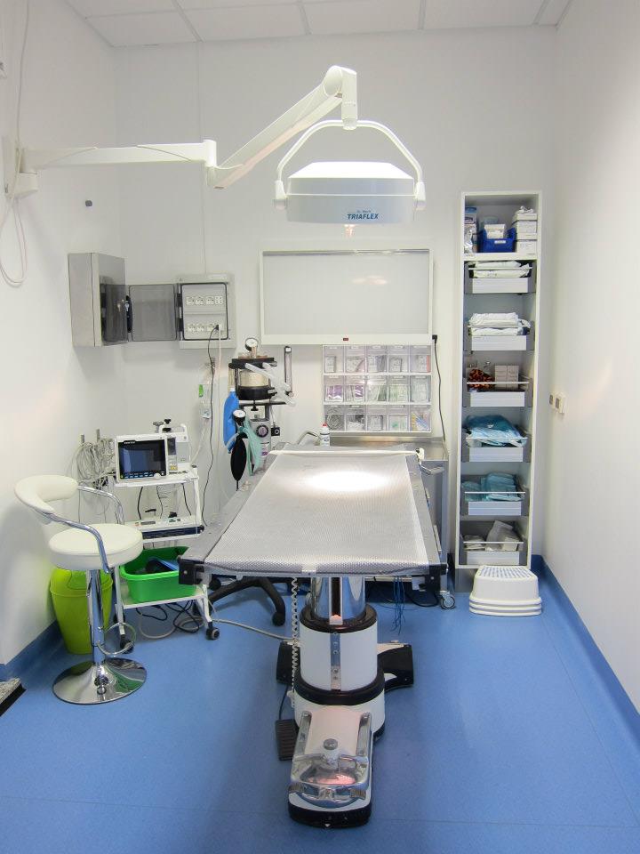 sala operatoria all'interno di una clinica veterinaria