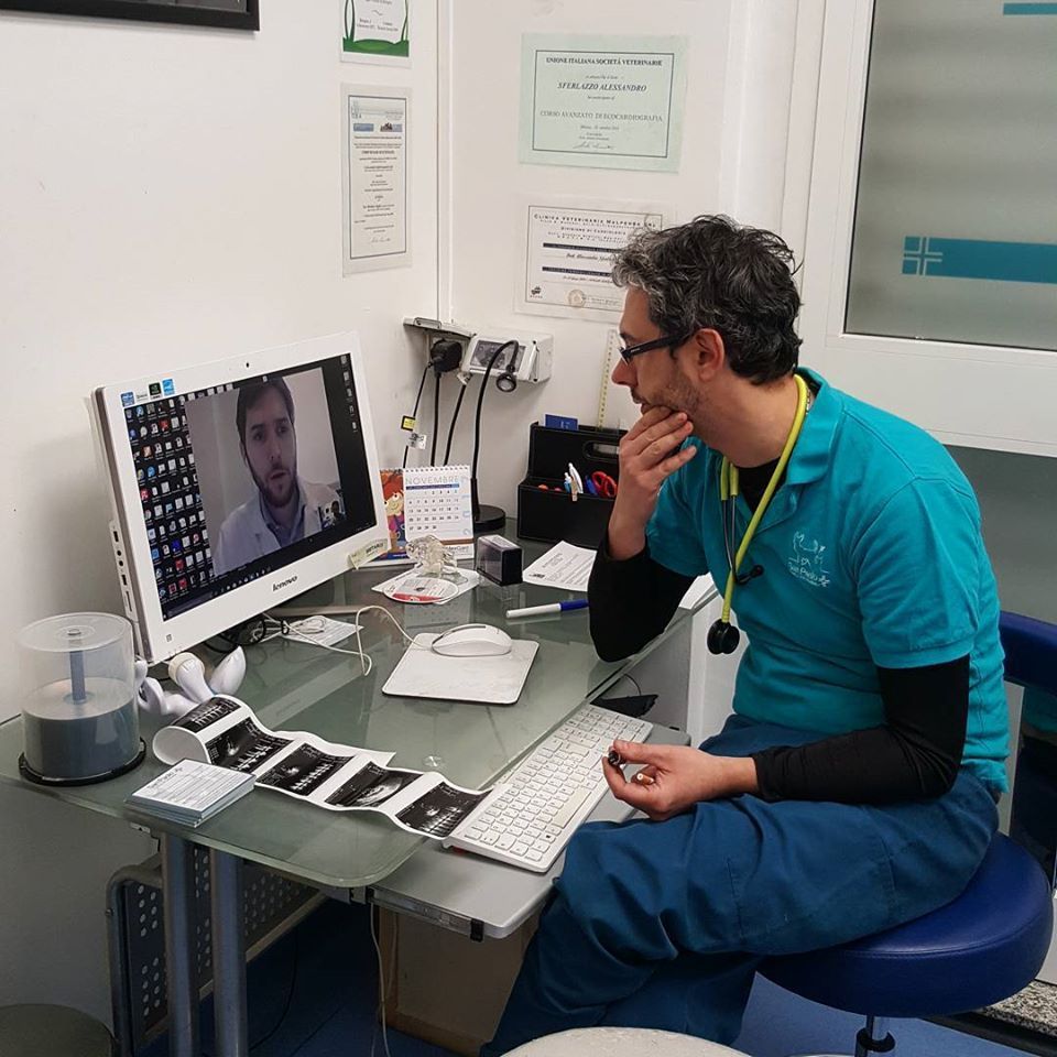 dottore veterinario che sta guardando una radiografia