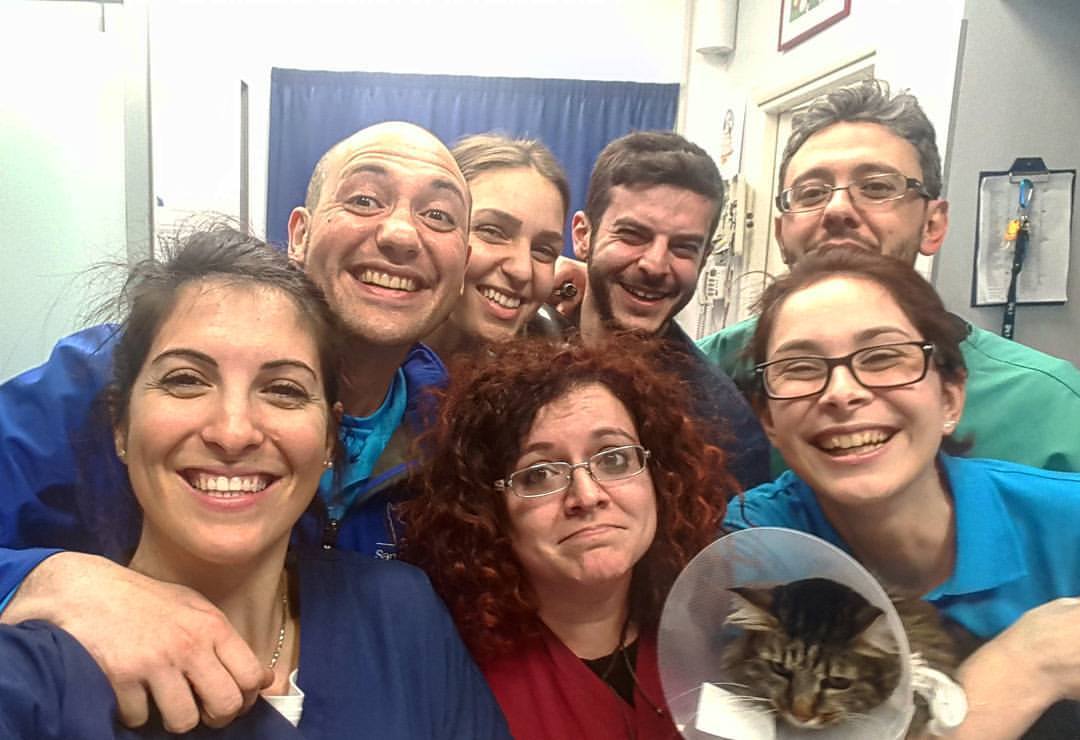 foto di gruppo con dottori veterinario