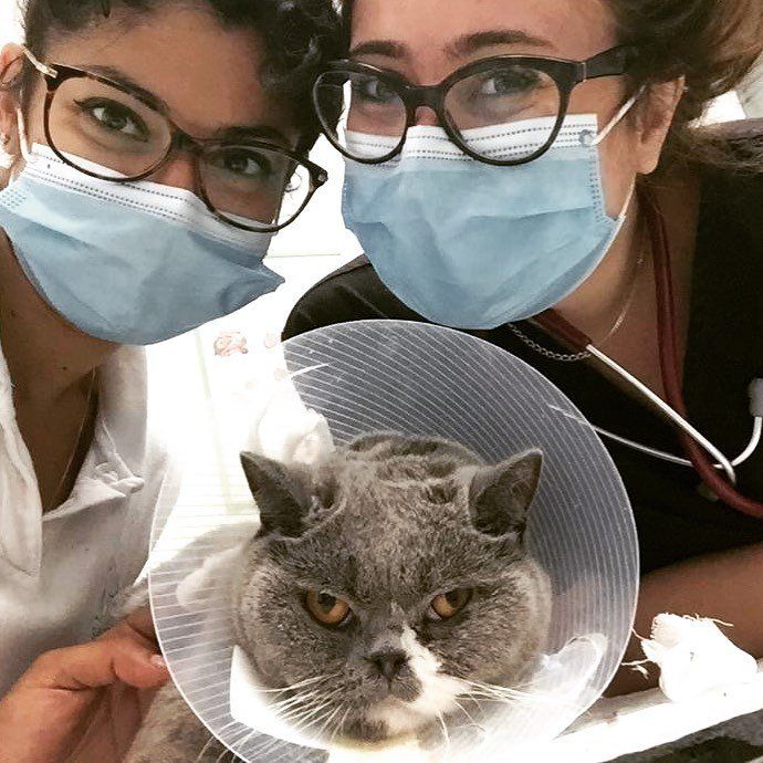 clinica veterinaria a Torino
