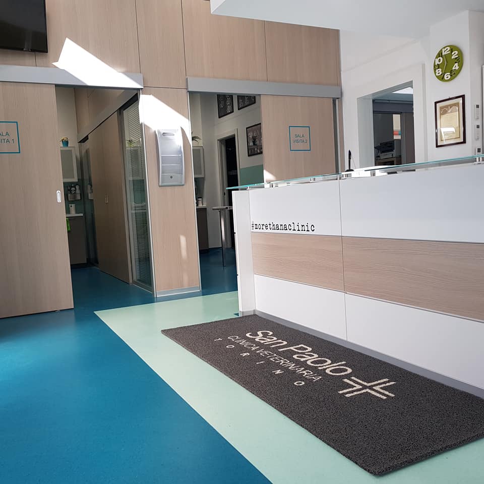 reception Clinica Veterinaria a Torino