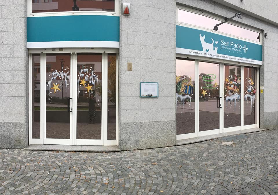 Clinica Veterinaria a Torino