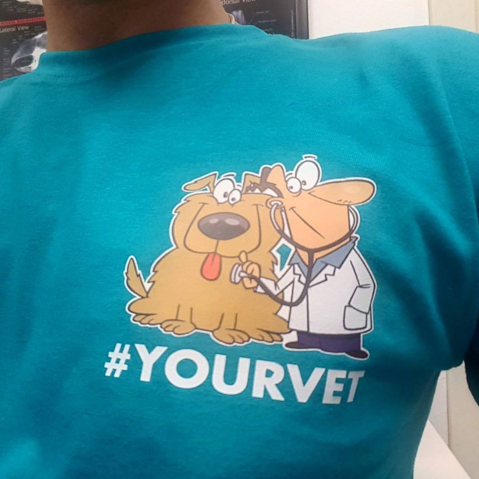 dottore veterinario