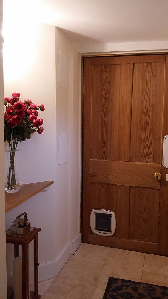 A hallway with a wooden door and a cat door.