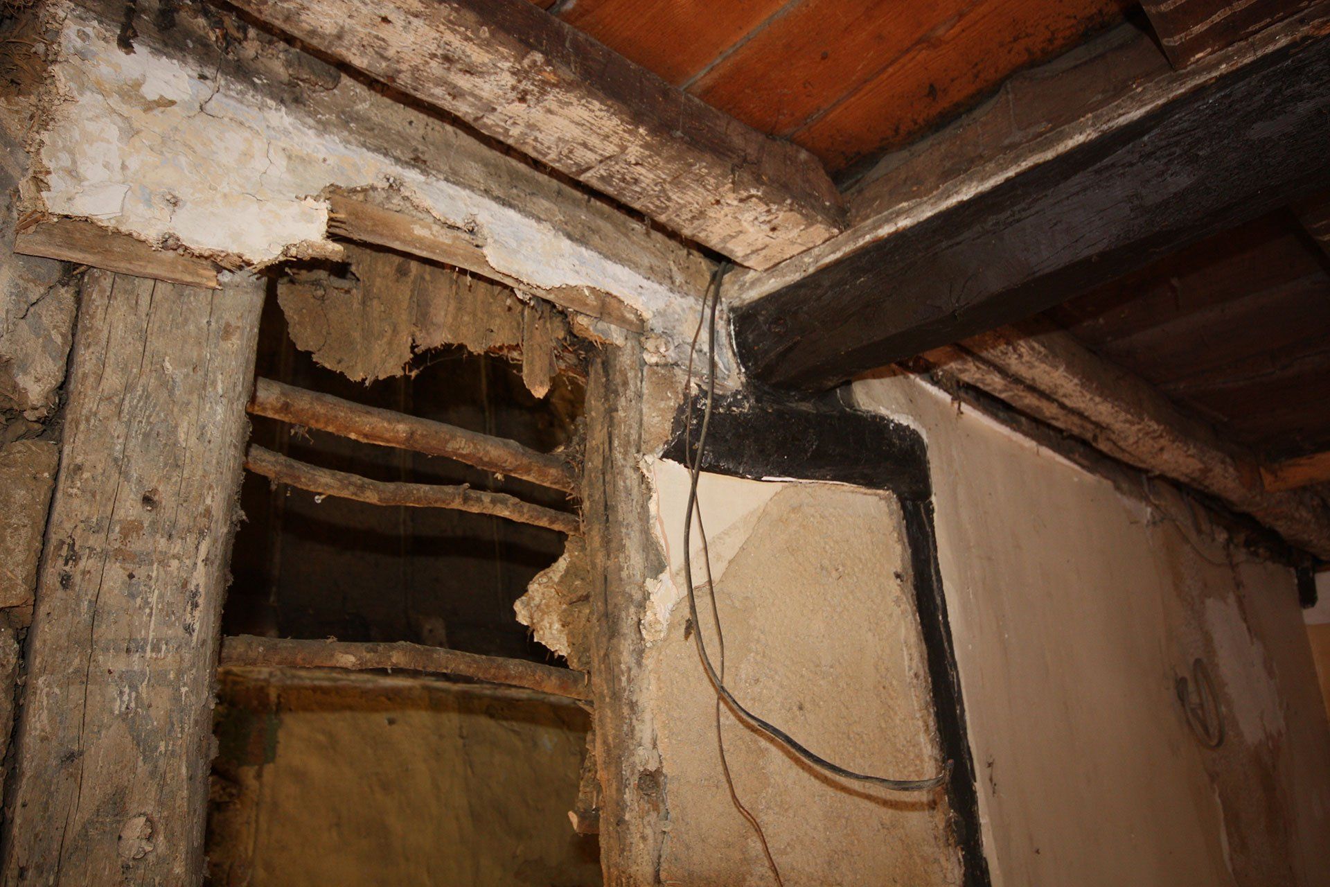CONSERVATION PROJECTS 1