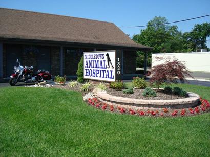 Animal Hospital New Garden — Middletown, NJ — Precision Landscape Contractors