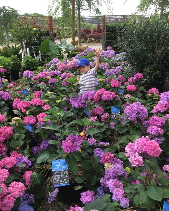 Boy Playing in the Garden — Middletown, NJ — Precision Landscape Contractors