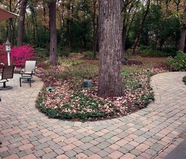 Small Pond with Flagstone — New Lenox, IL — A Fresh Cut Landscaping Small Pond with Flagstone — New Lenox, IL — A Fresh Cut Landscaping