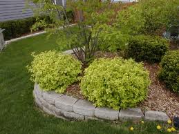 Curved garden bed with green shrubs, stone border, and lawn in the background