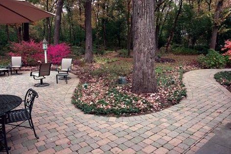 Tree Care — New Lenox, IL — A Fresh Cut Landscaping