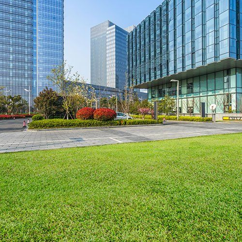 Commercial Landscaping — New Lenox, IL — A Fresh Cut Landscaping Commercial Landscaping — New Lenox, IL — A Fresh Cut Landscaping