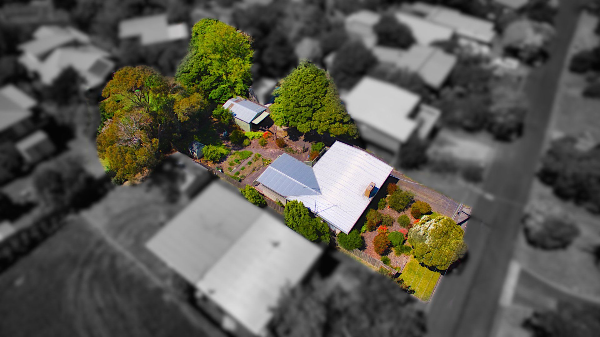 Aerial view of a house with a colorful garden, surrounded by a blurred grayscale neighborhood.