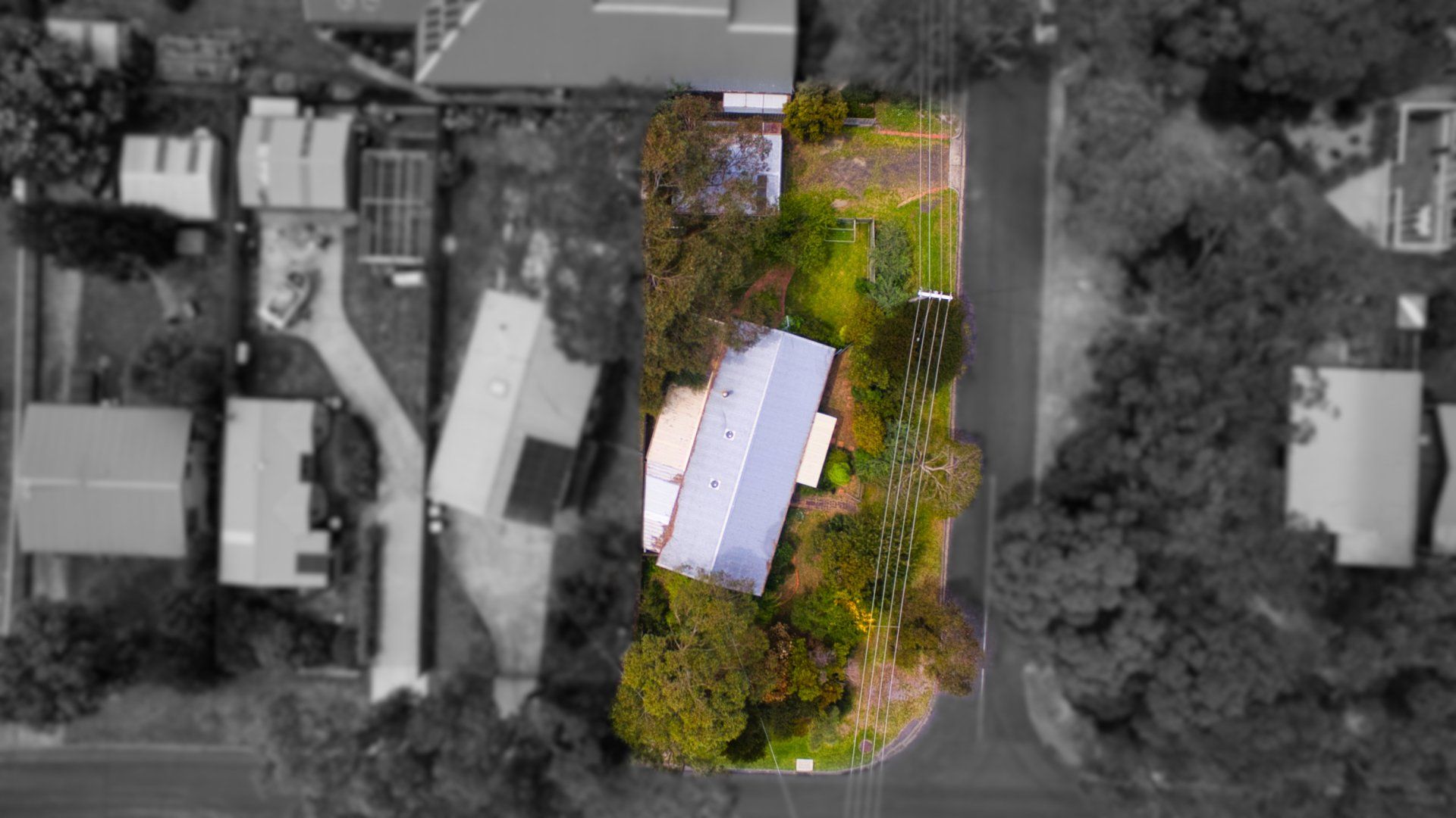 Aerial view of a house with trees, showing a color-highlighted central area between grayscale surroundings.