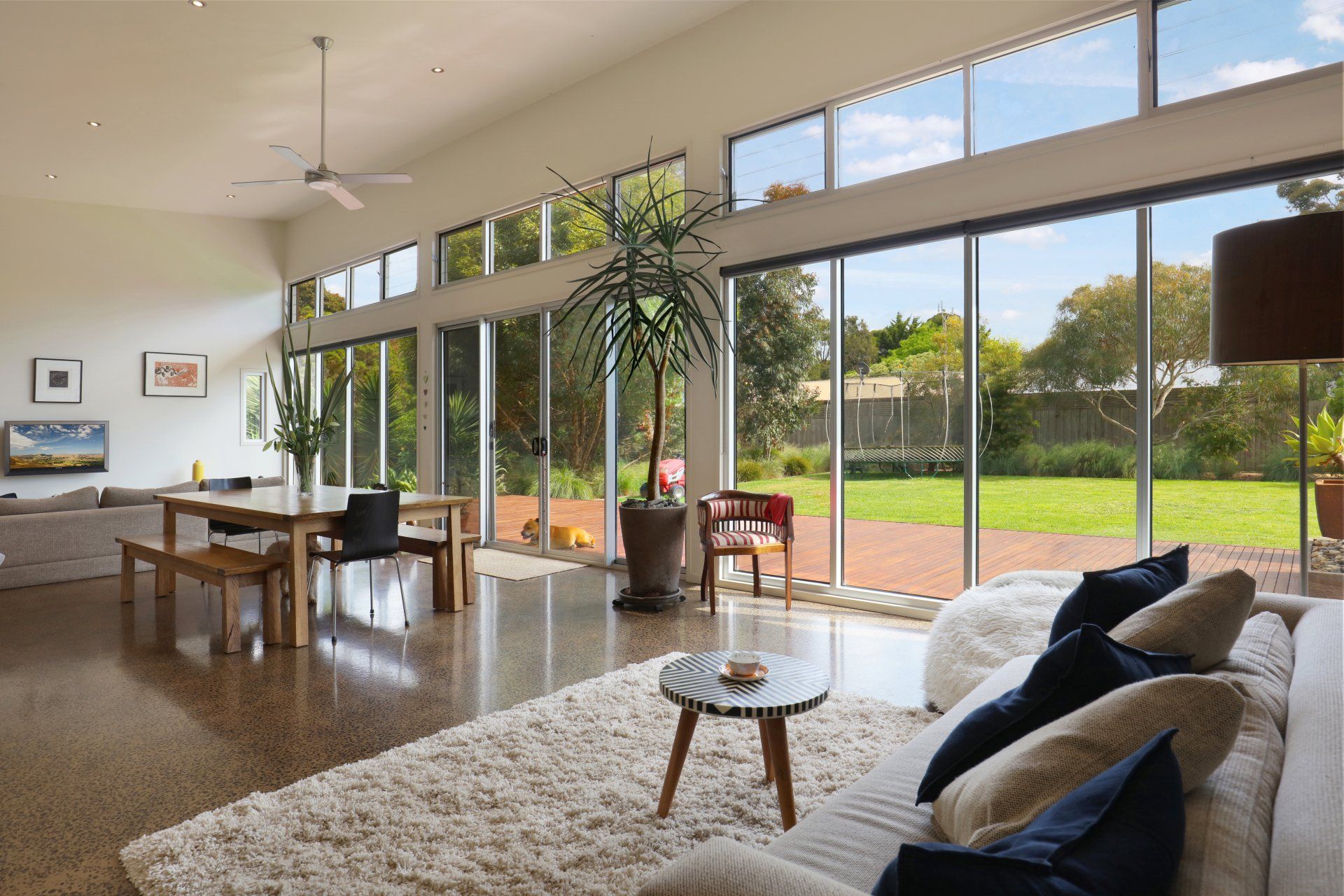 Bright modern living room with floor-to-ceiling windows, a sofa, dining table, and view of a sunny garden.