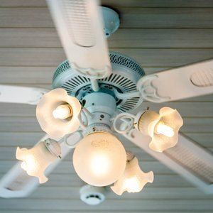 Ceiling fans ceiling fan