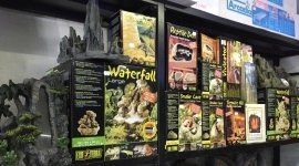 cibo per animali esotici