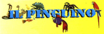 Il Pinguino - logo