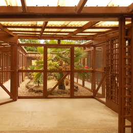 luxury cattery services