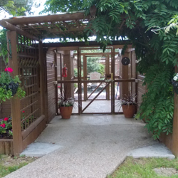 Well-maintained cattery