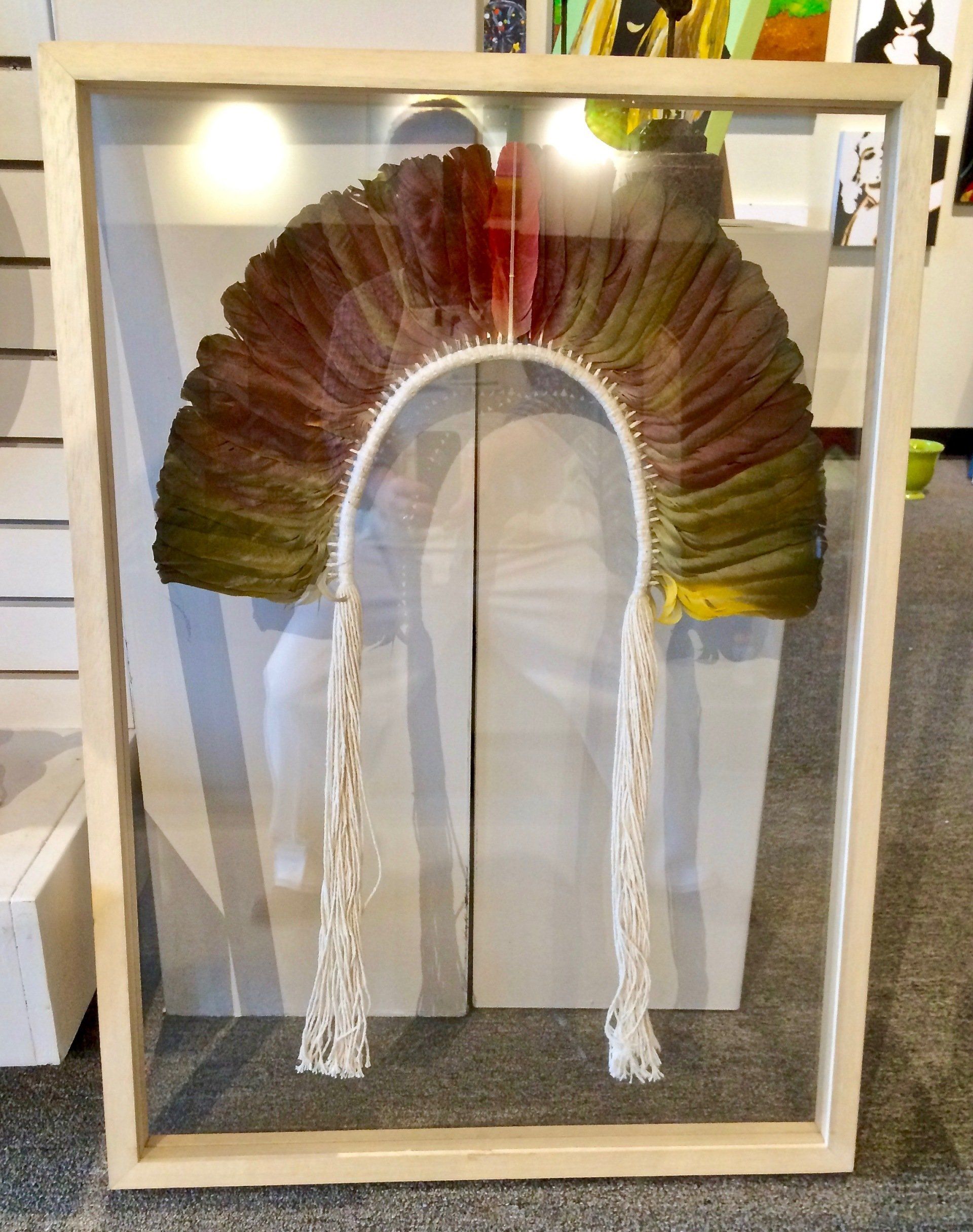 A picture of a native american headdress in a glass frame