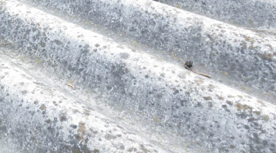 bonifica coperture in eternit