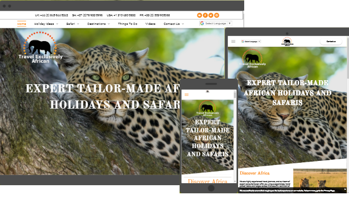 web design company